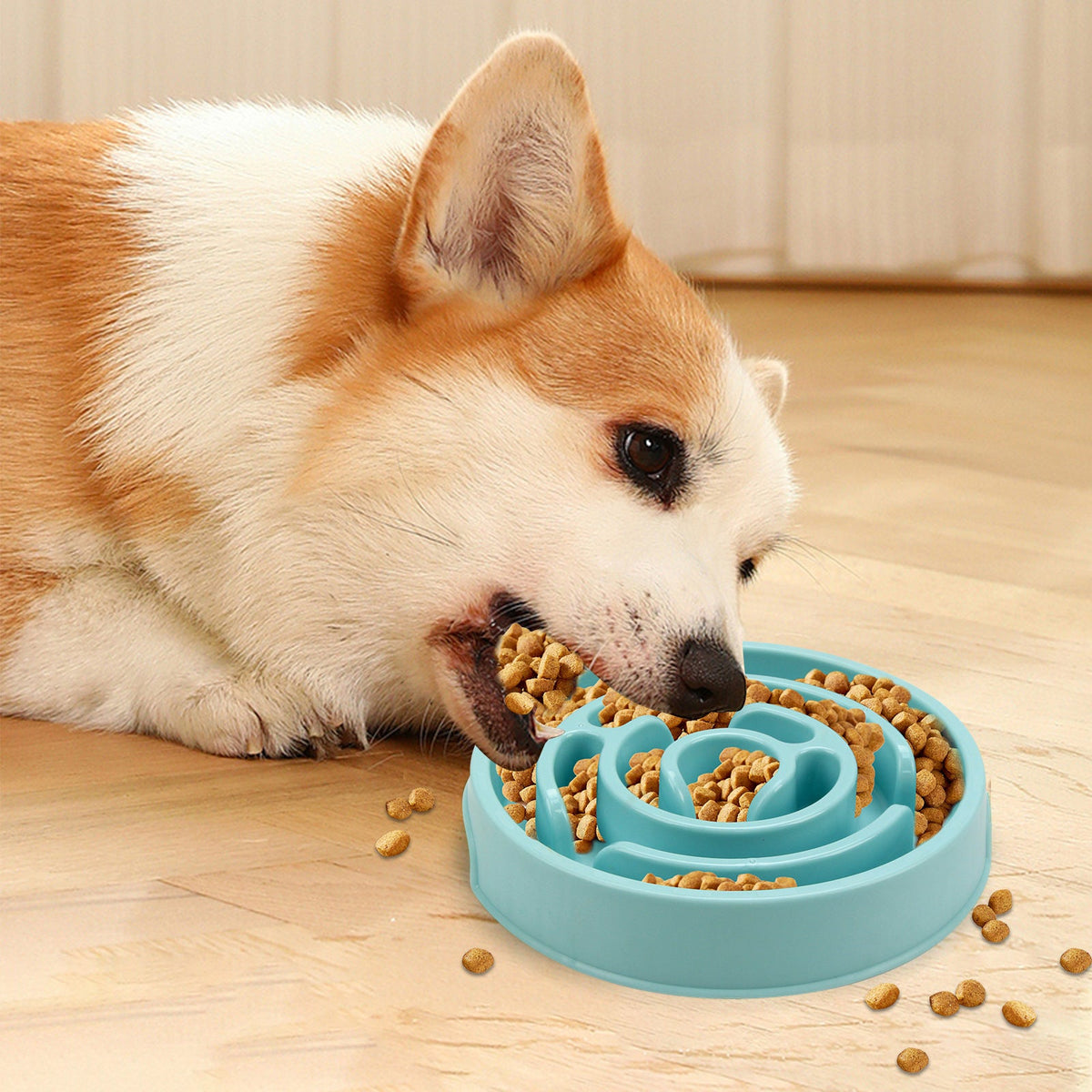 Everyday Pet Essentials